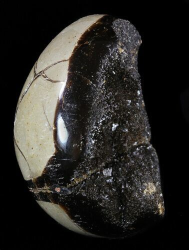 Septarian Dragon Egg Geode - Black Crystals #58787
